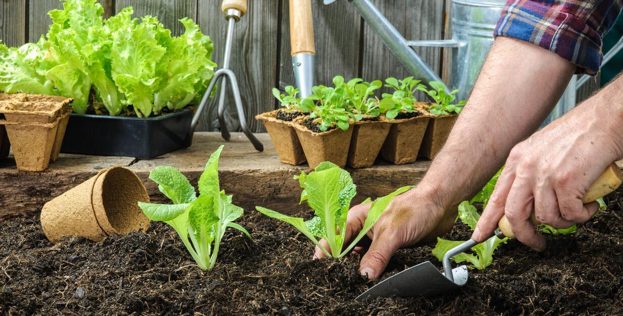 Hardin County OSU Extension Master Gardener Volunteers Announce Summer Programs at the Friendship Gardens